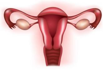 Какие симптомы указывают на повышенный уровень эстрогенов в женском организме?