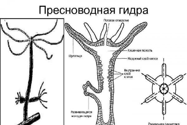 Кракен сайт что это