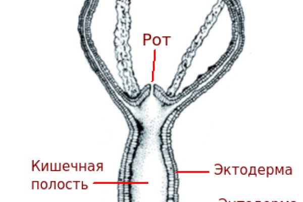 Кракен тор что это