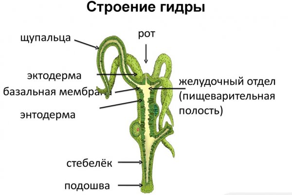 Кракен магазин наркоты