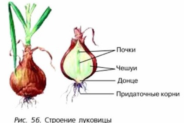 Кракен ссылка 2web krakendark link